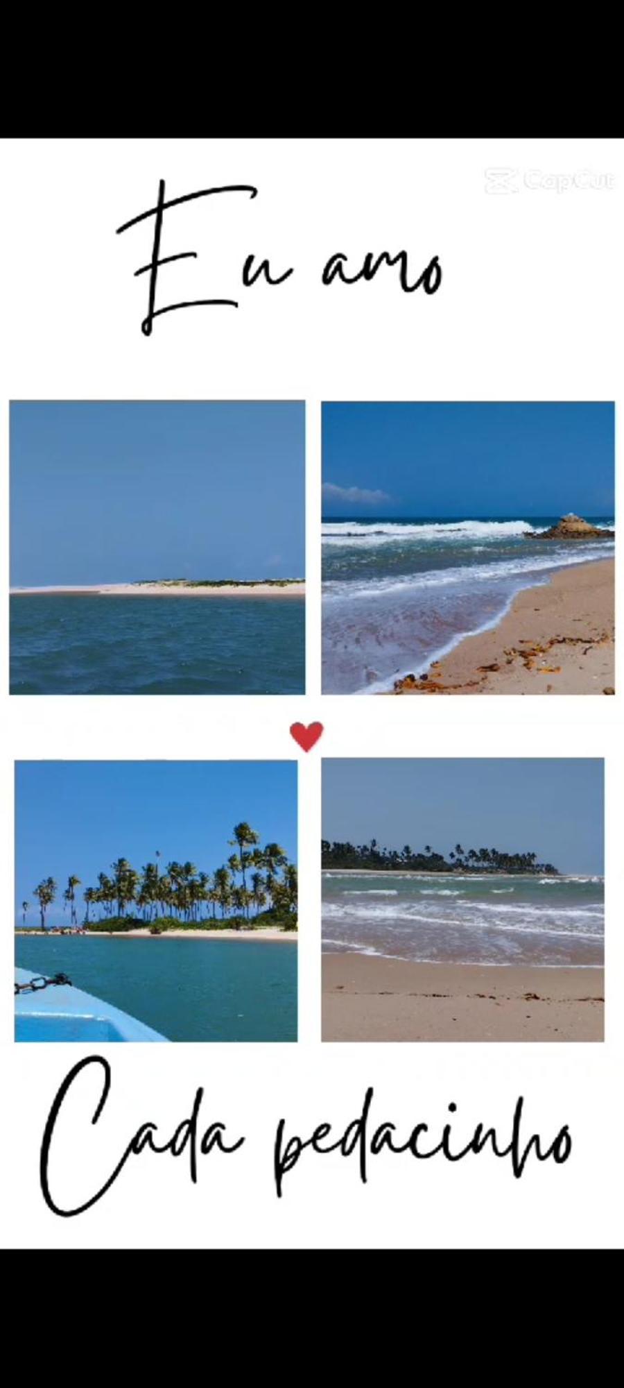 Carvalhos -